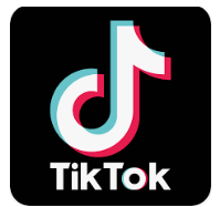 desinteligente humana no tiktok